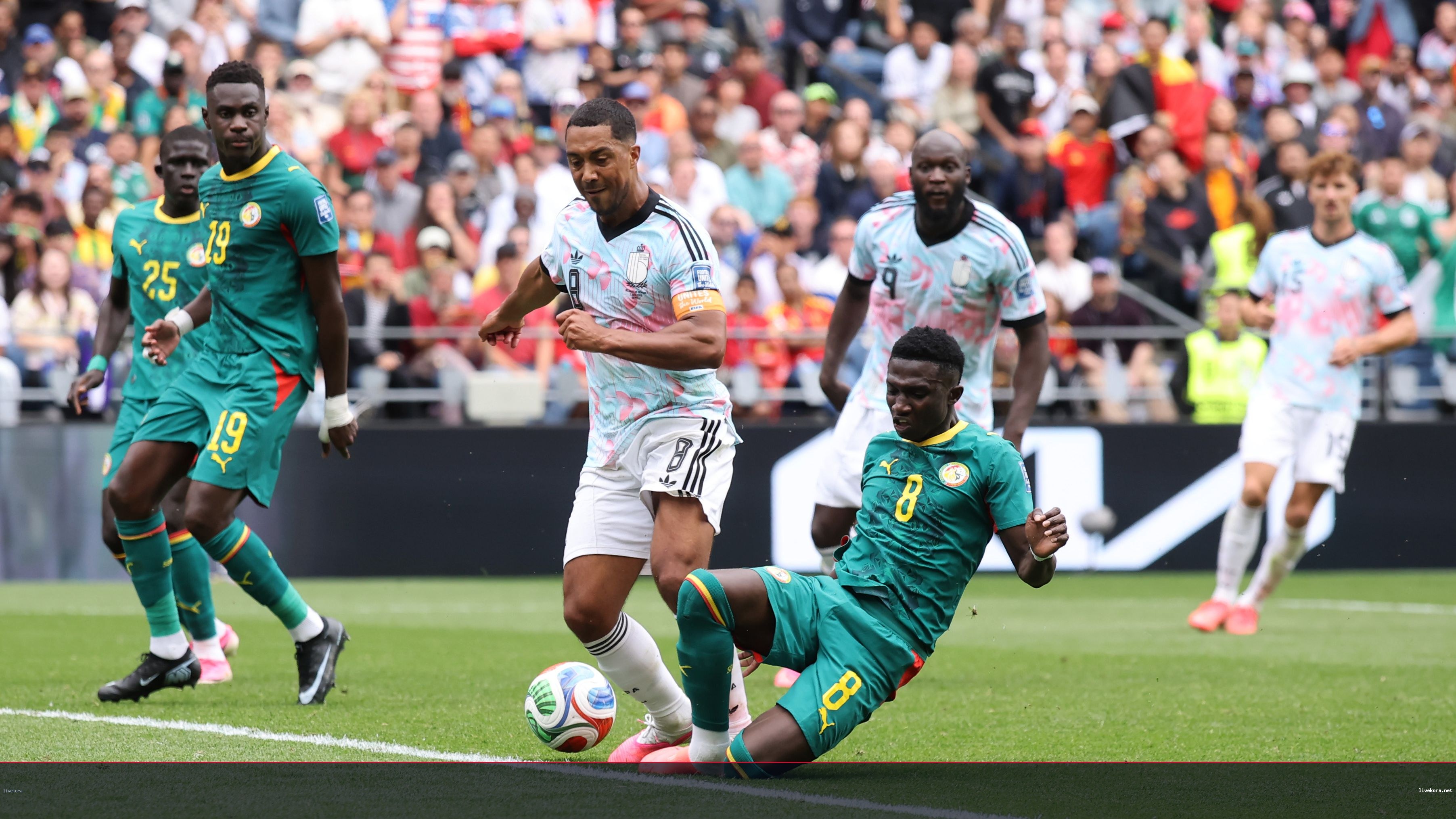 ديفيز يكشف سبب احتساب جزاء بلجيكا القاتل أمام السنغال