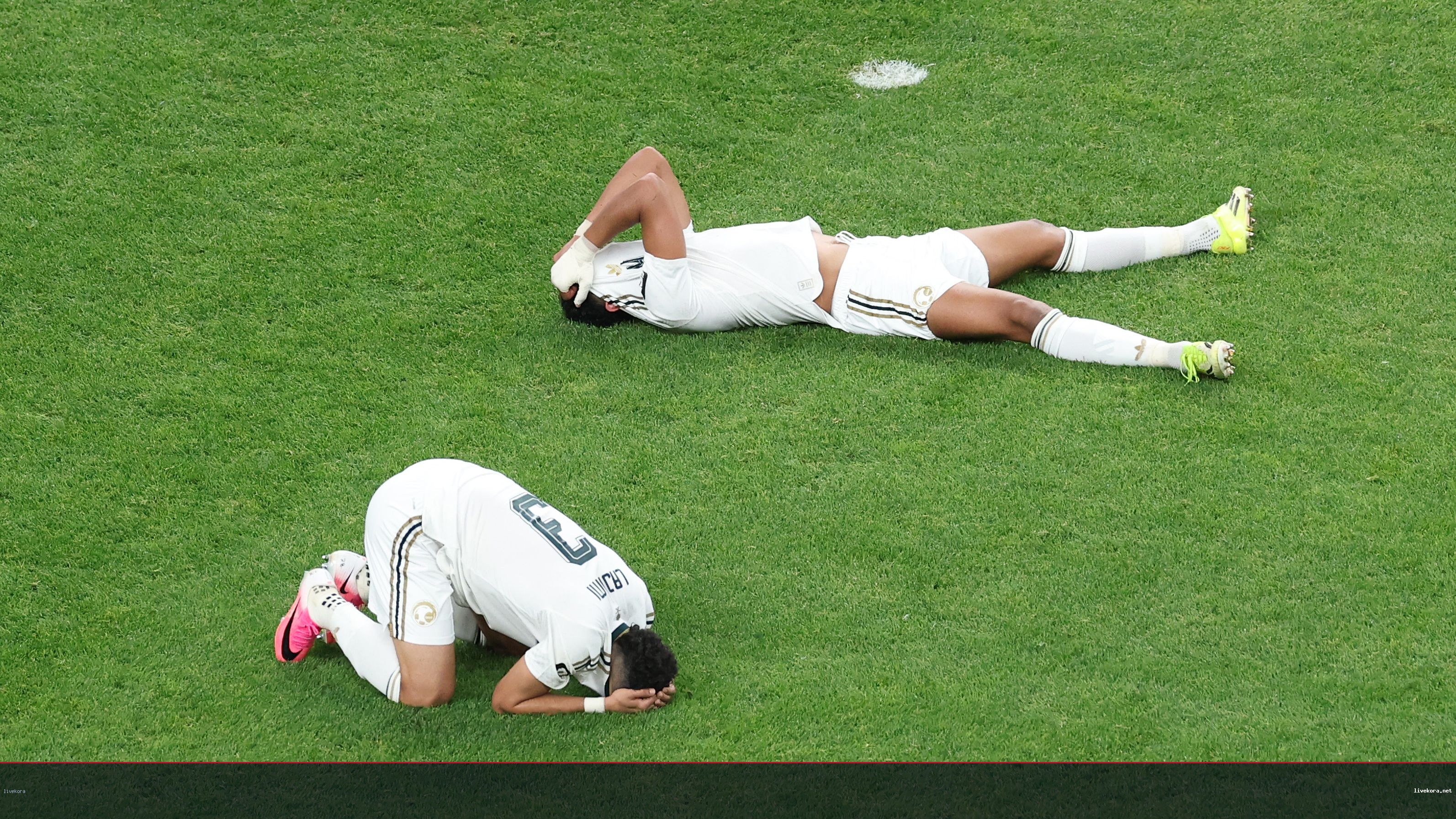 الصرامي يدعو لتجنيس الناشئين بعد خروج الأخضر
