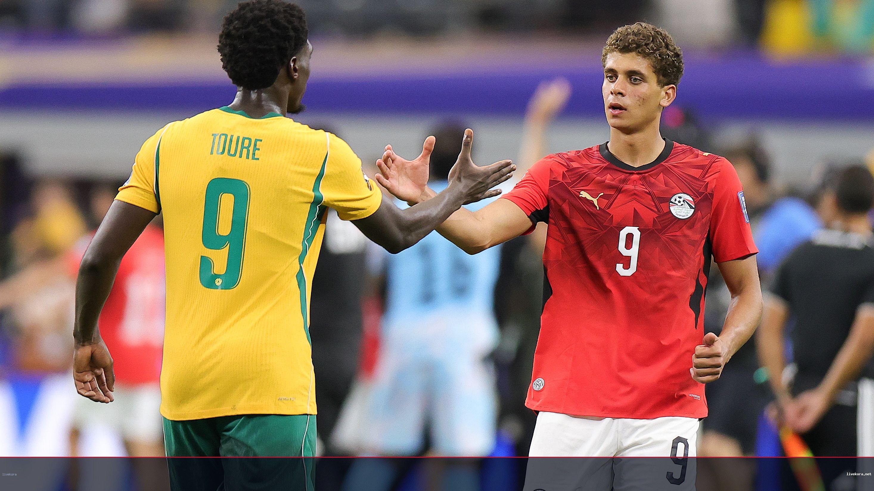 الاتفاق والنصر يوقعان مدربين أستراليين يوم خروجهم من المونديال