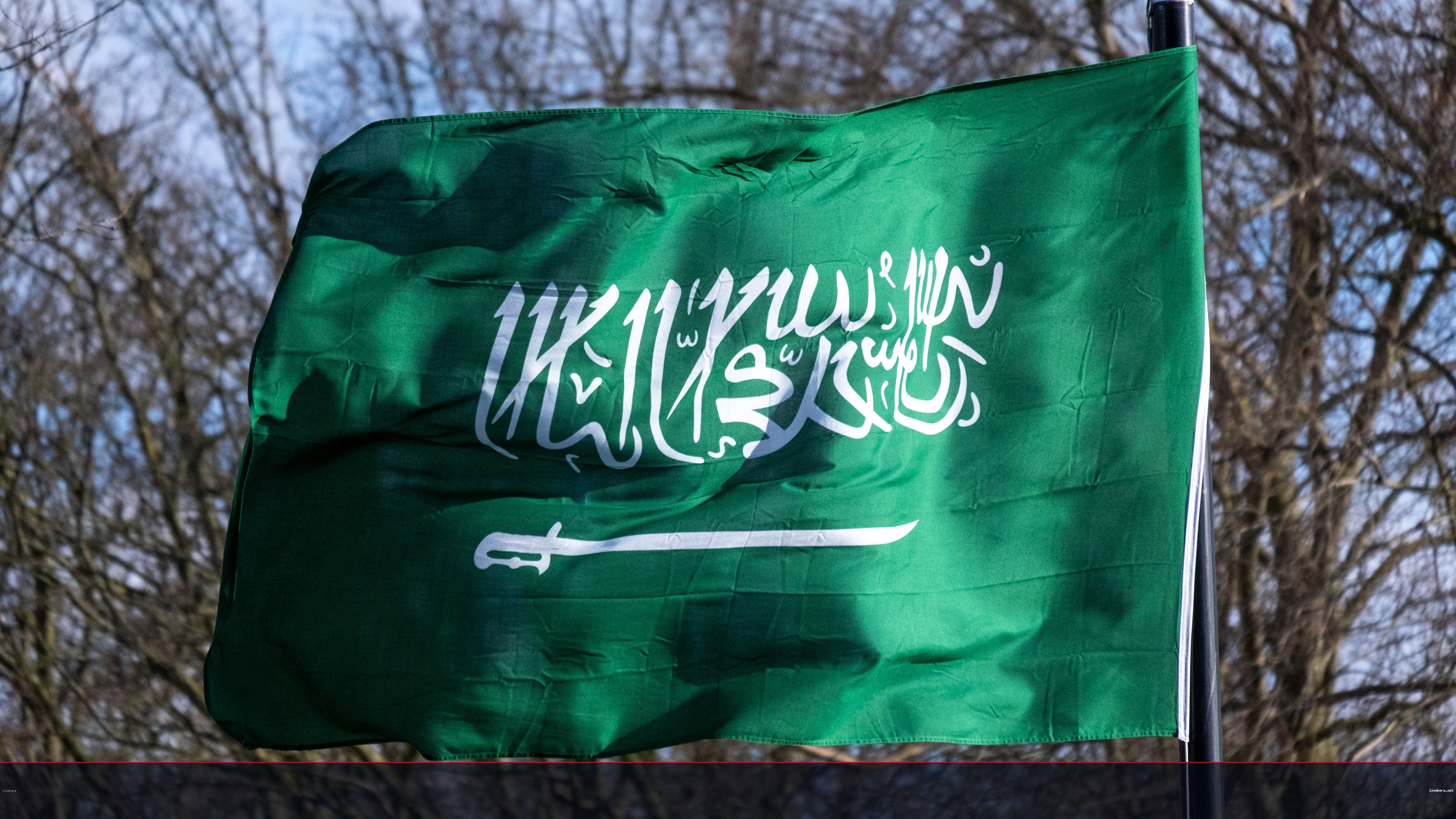 توسيع دوري أبطال الخليج إلى 12 نادياً