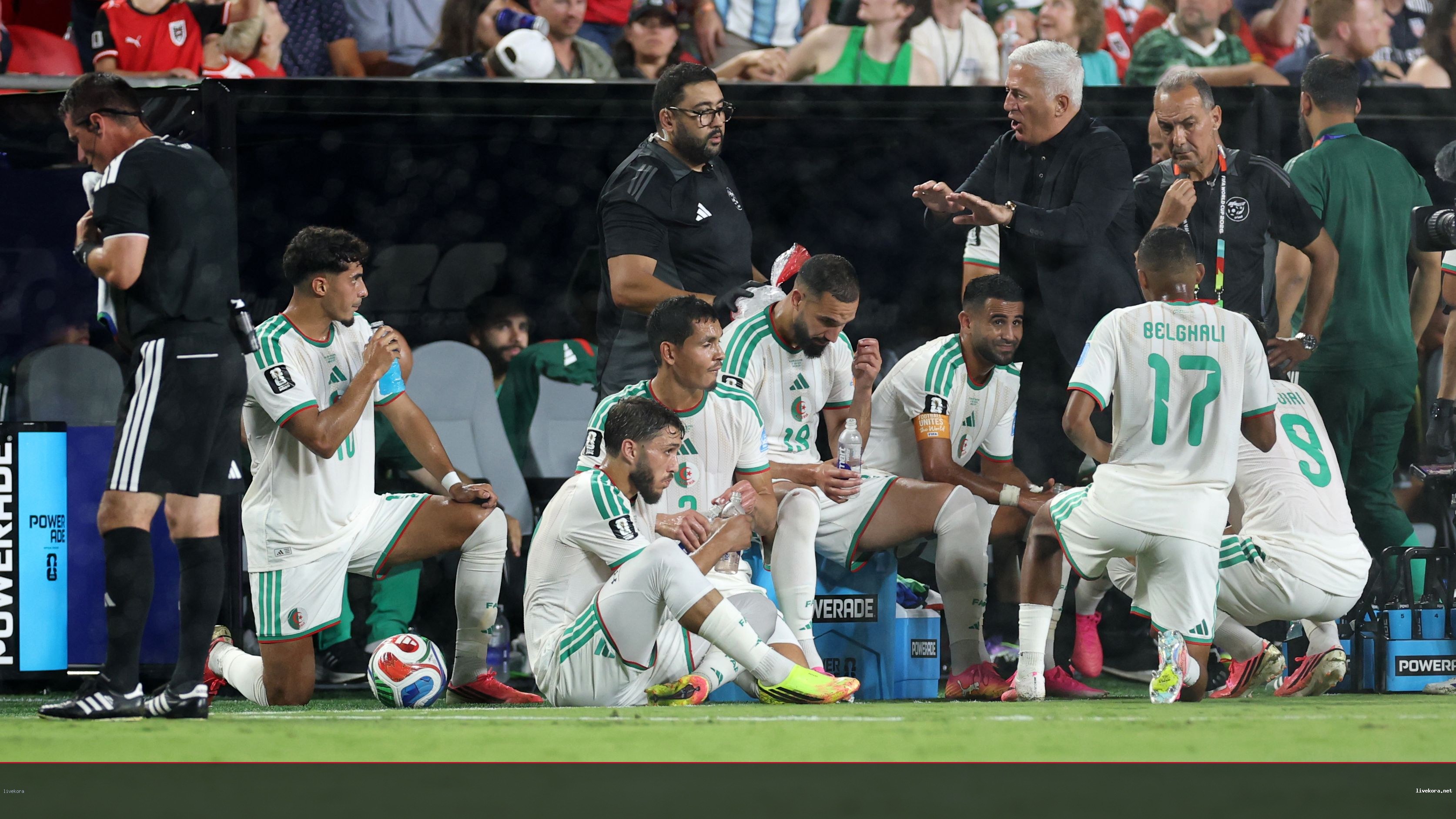 الجزائر تراهن على سانشيز مدرب قطر السابق رغم الجدل
