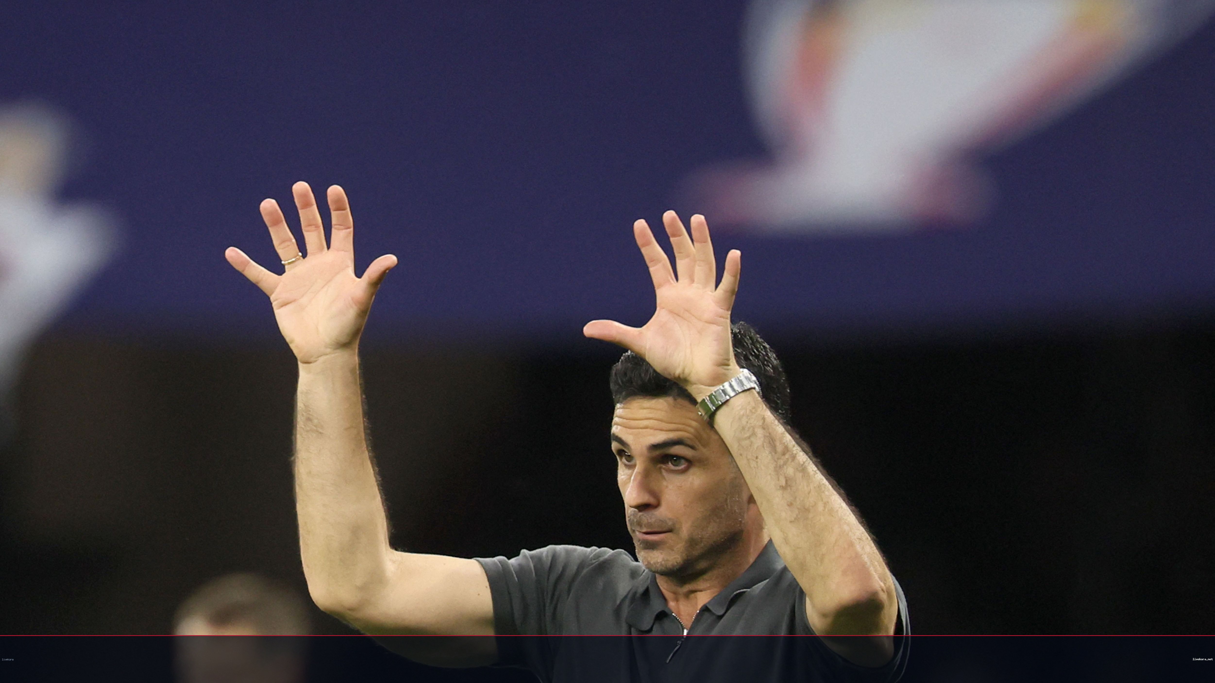 آرسنال يقترب من ضم برونو جيماريش من نيوكاسل