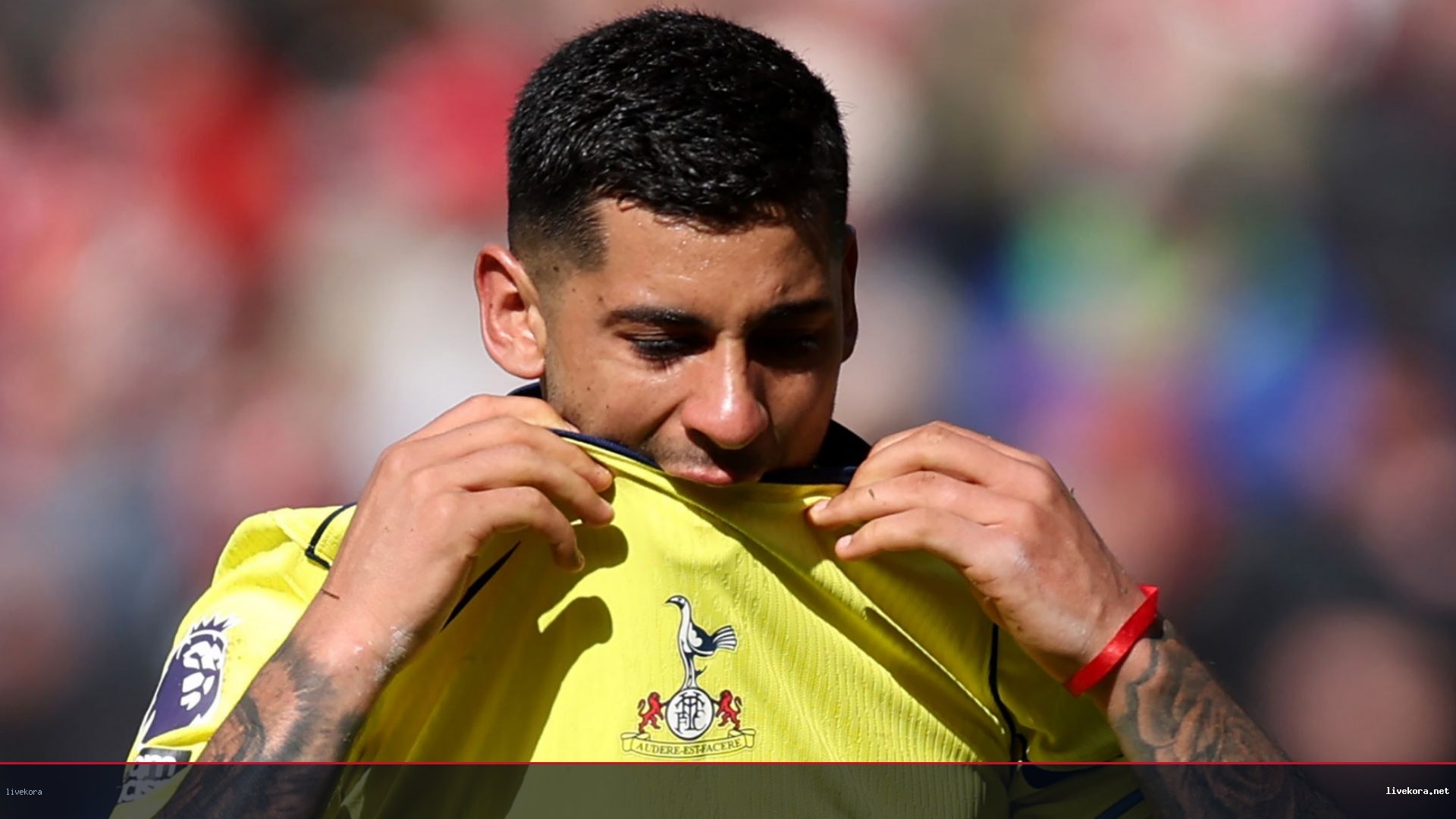 58 مليون يورو تقرب بريمر من توتنهام