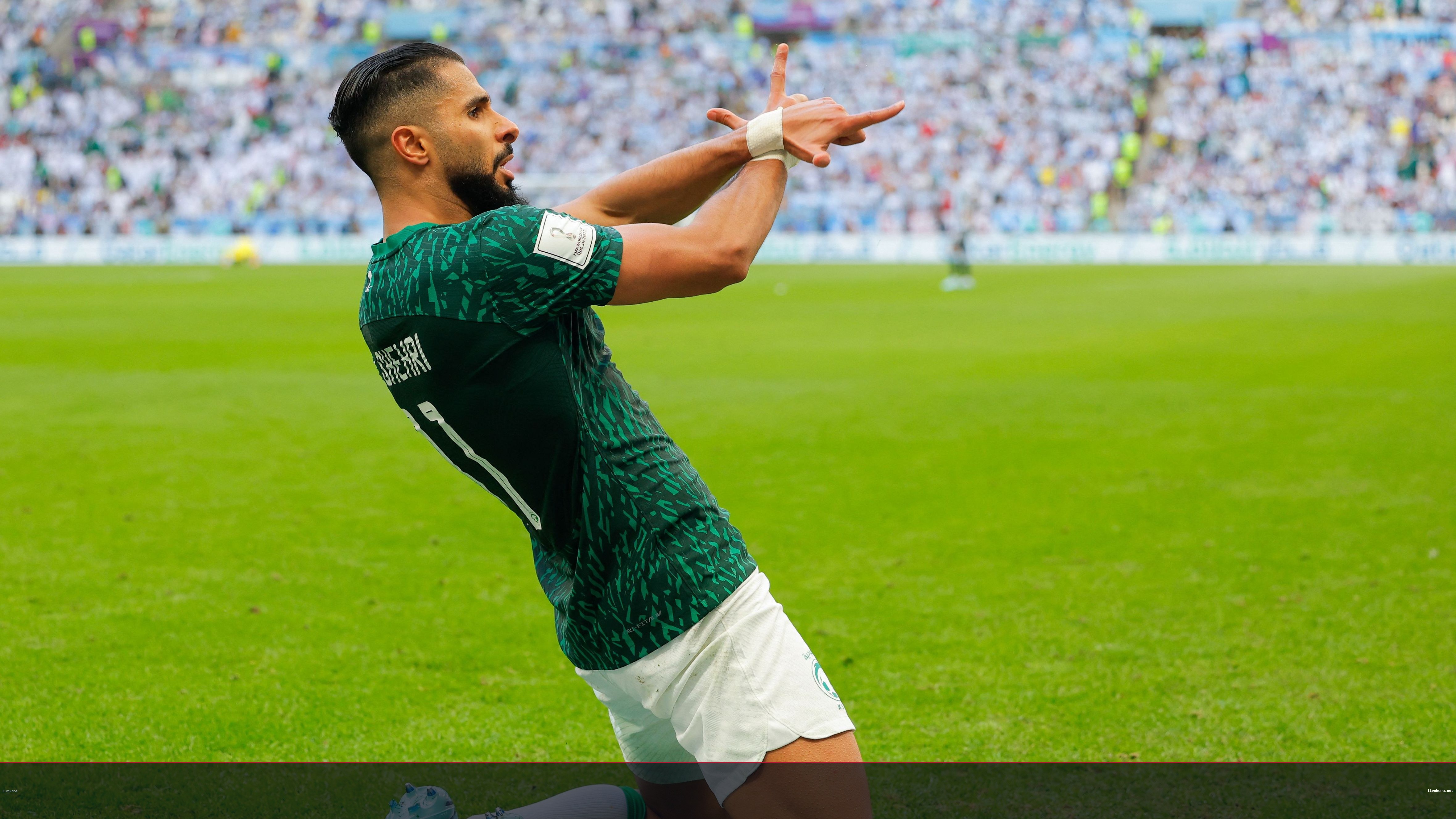 الشهري يتعهد بتحسن الأخضر مع دونيس
