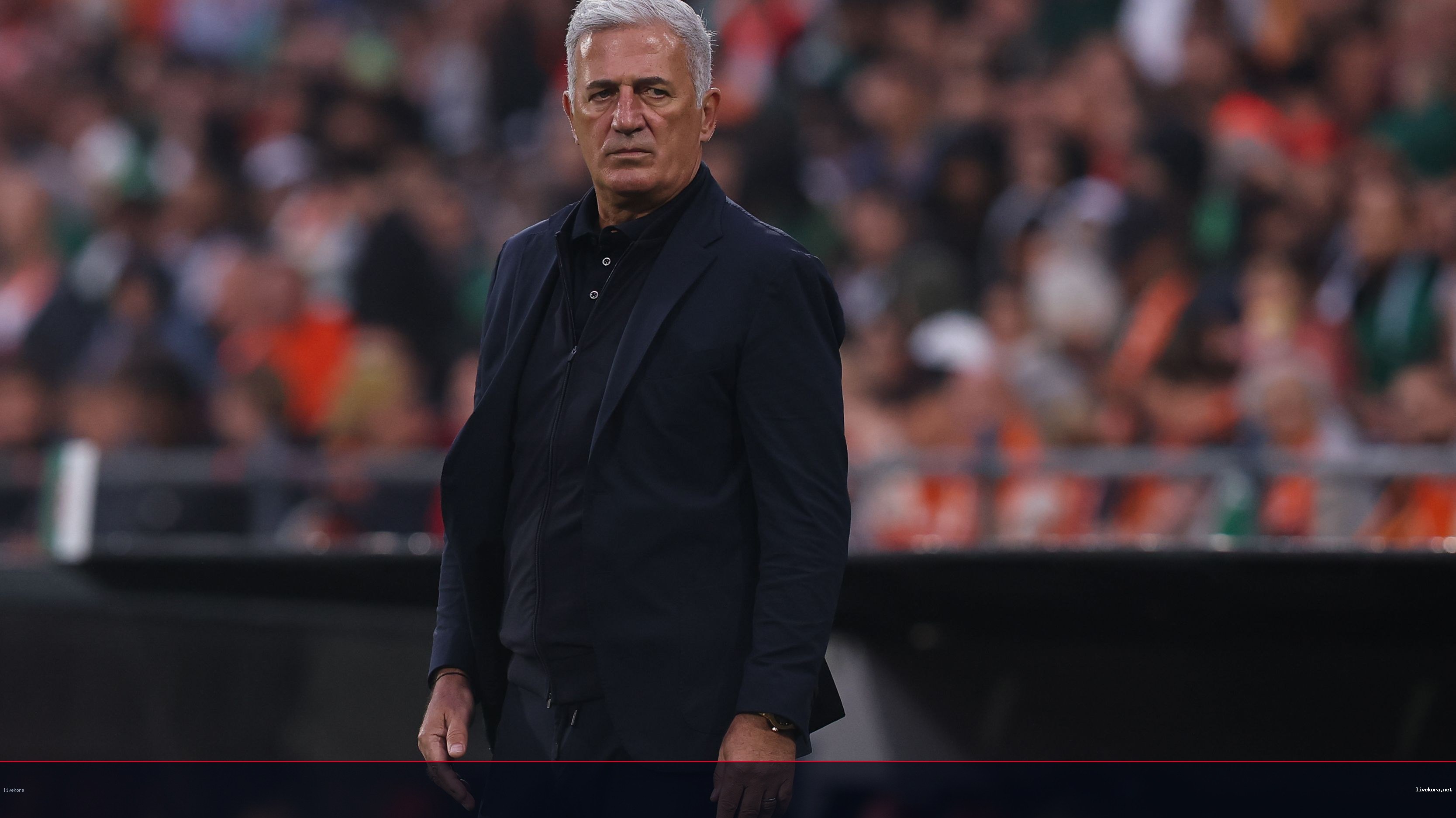 فشل بيتكوفيتش: الأسباب التي تفرض رحيله عن المنتخب الجزائري