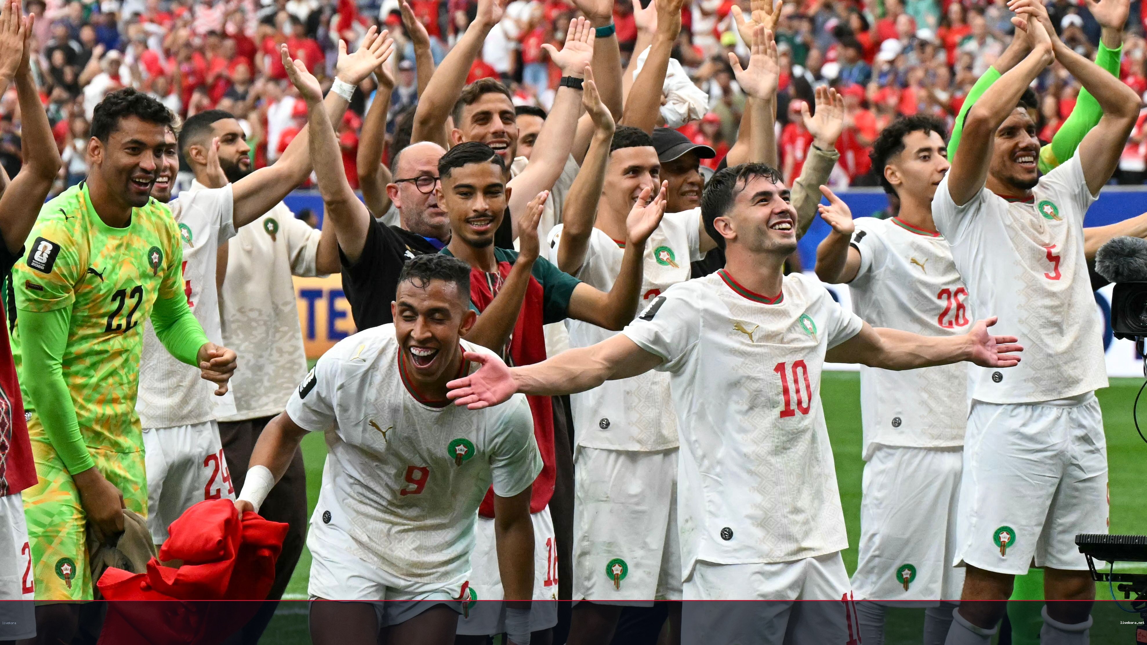 4 أسود فقط يواجهون فرنسا في ربع نهائي المونديال