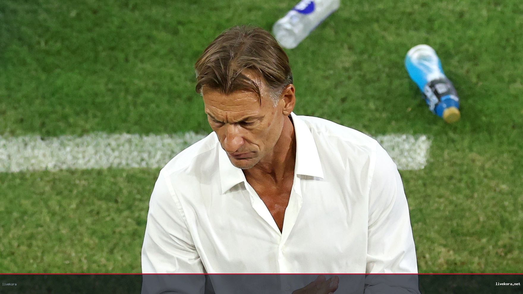 حبيب باي ينافس رينارد لتدريب منتخب السنغال