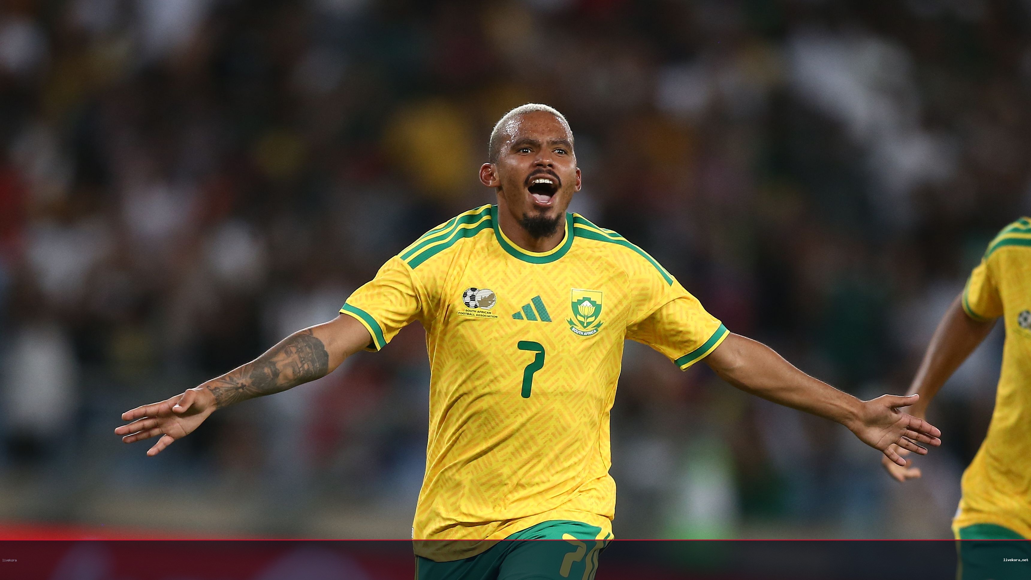 تأشيرات وتأجيلات: جنون السفر يهدد استعدادات جنوب إفريقيا لكأس العالم