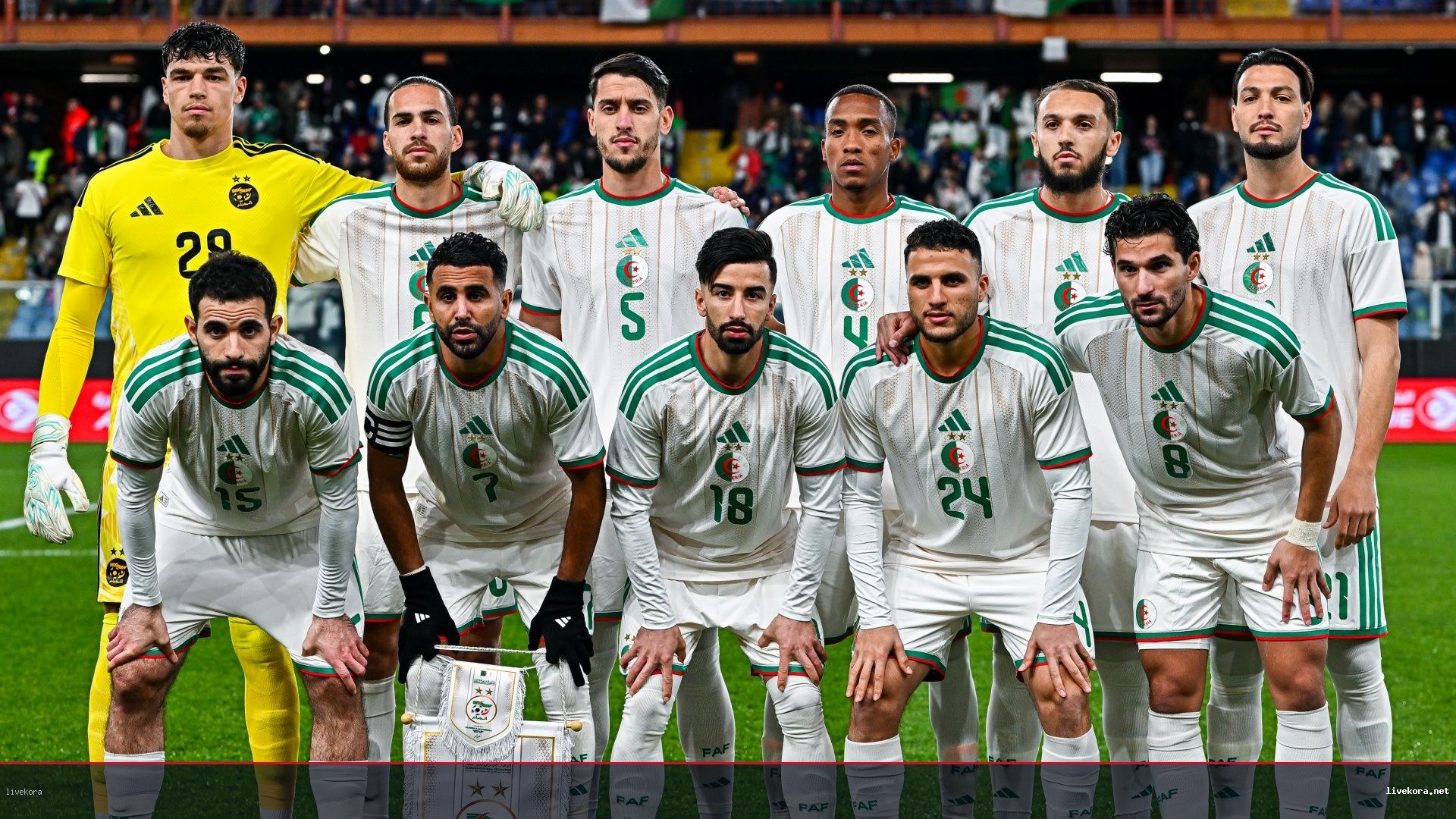 الجزائر تطيح بهولندا وتكتب فصلاً تاريخياً
