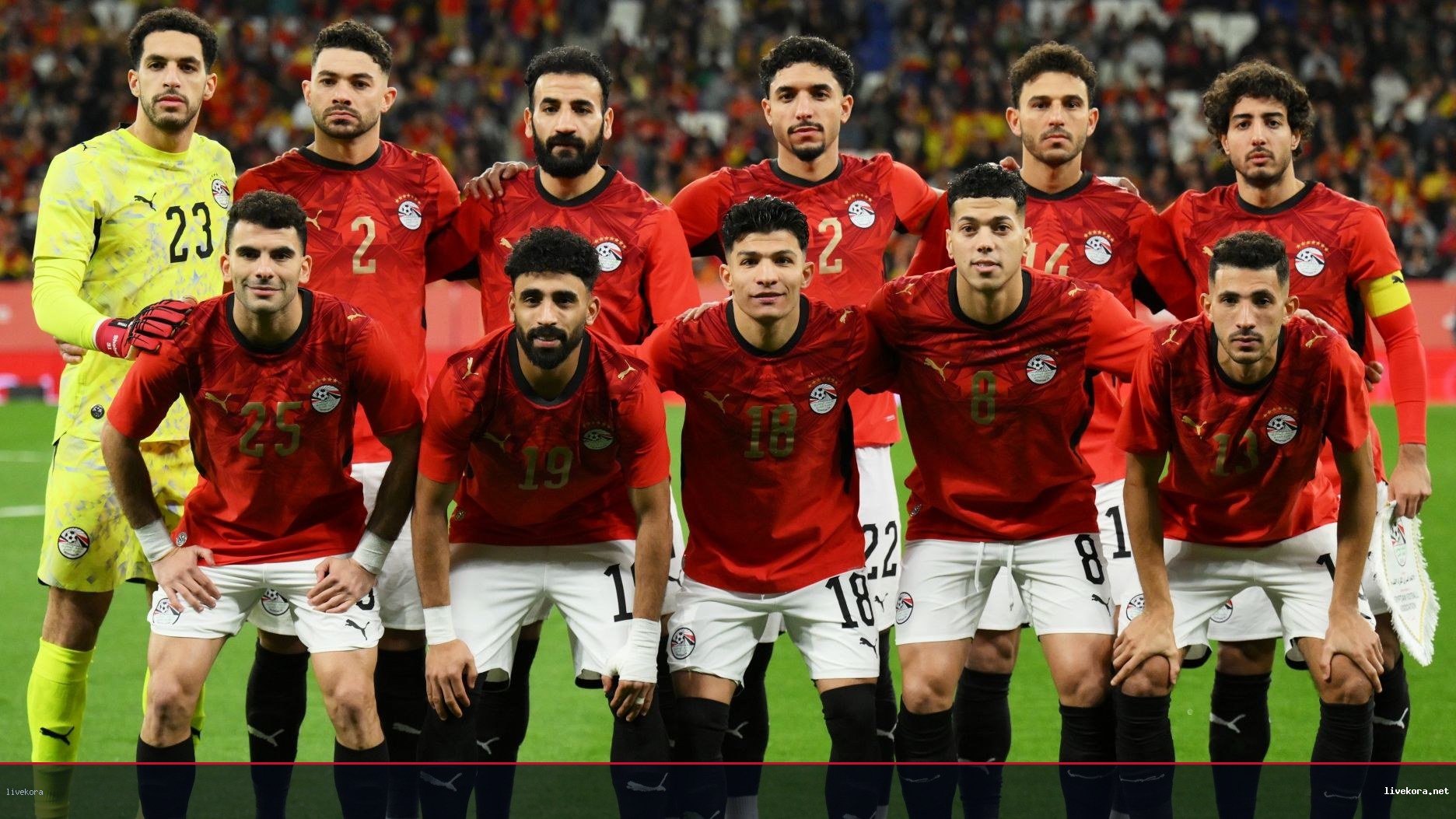 إيقاف ياسر إبراهيم وتغريمه قبل انطلاق المونديال
