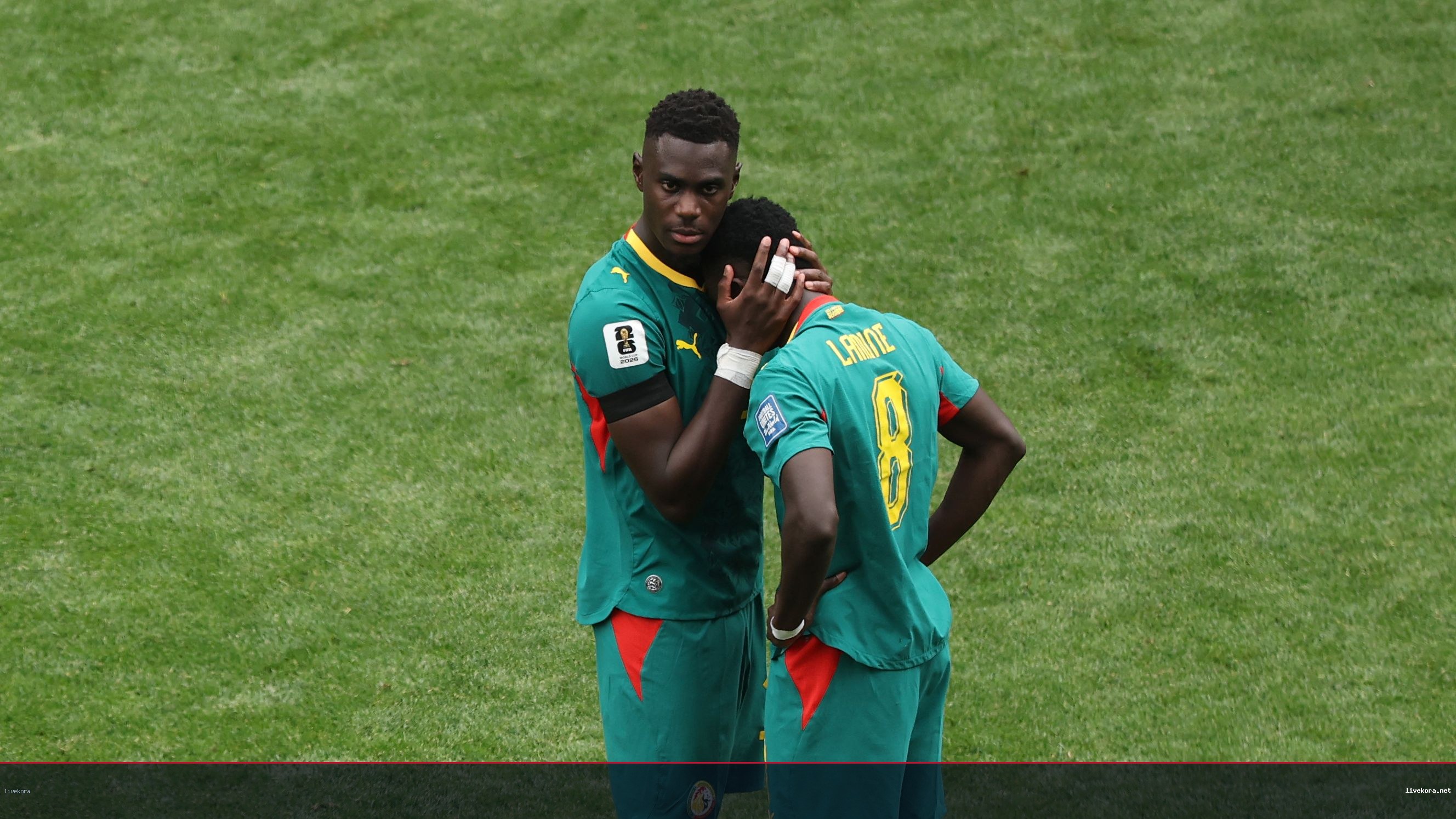 انهيار تاريخي للسنغال أمام بلجيكا ودور الـ32