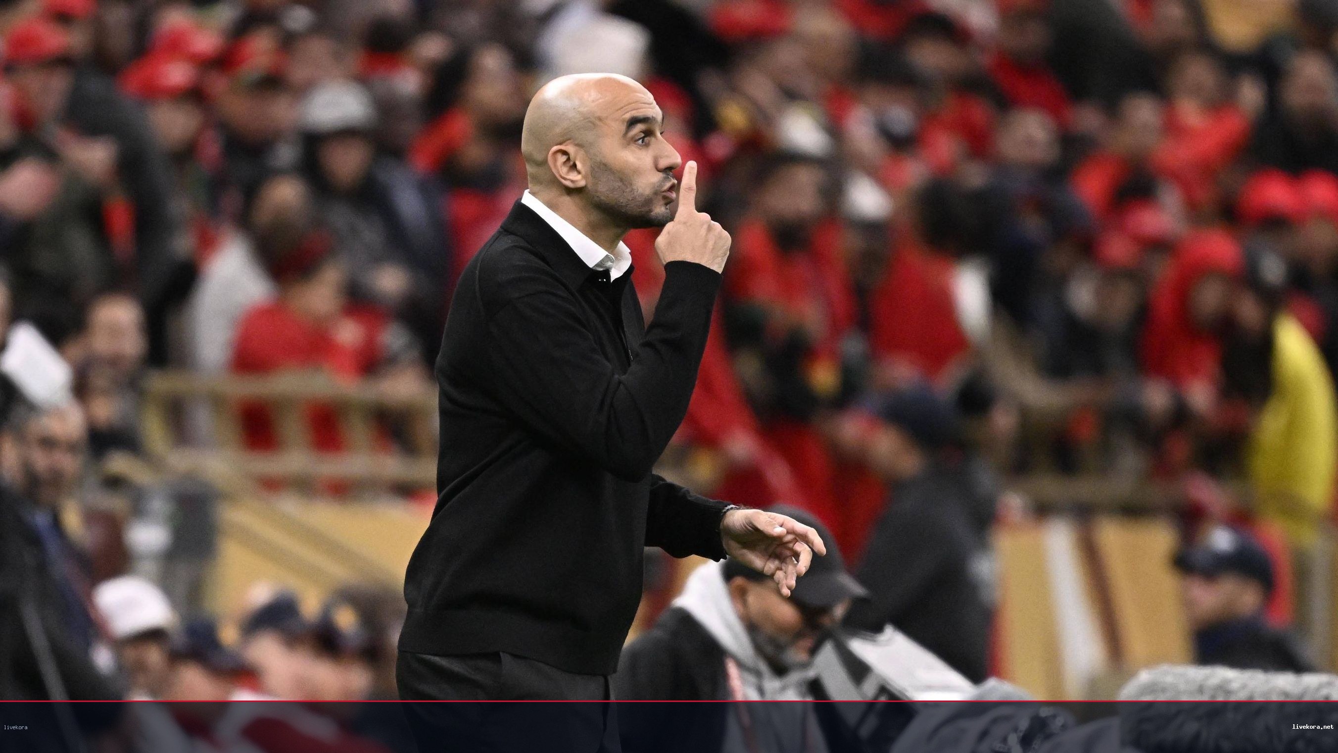 اهتمام لاتيني بالركراكي لتدريب منتخب الإكوادور خلفاً لبيكاسيسي